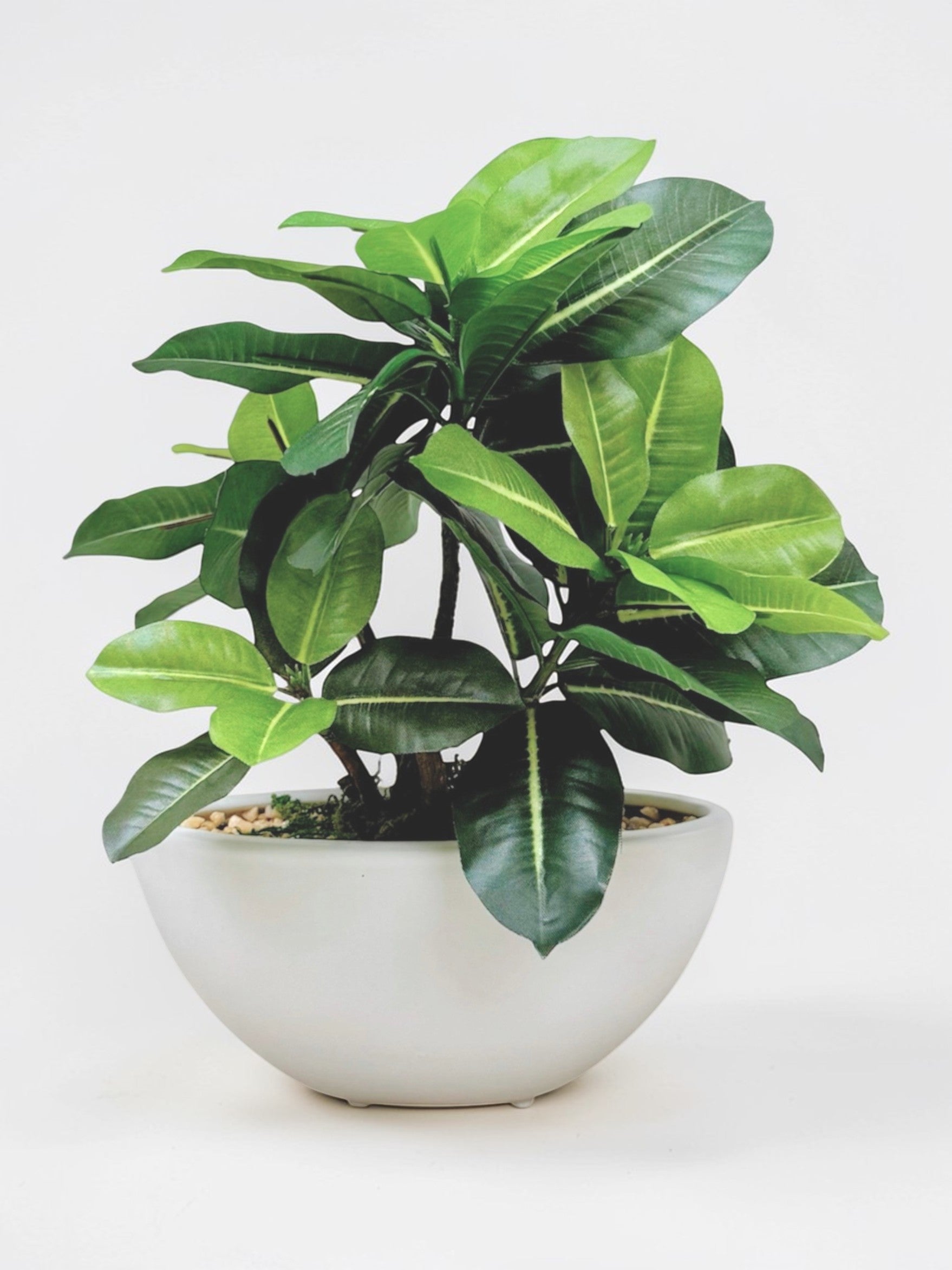 【香港現貨】仿真橡葉陶瓷盆栽 (30cm) | 半月型設計盆 現代居家裝飾 Ficus Elastica - Midoria