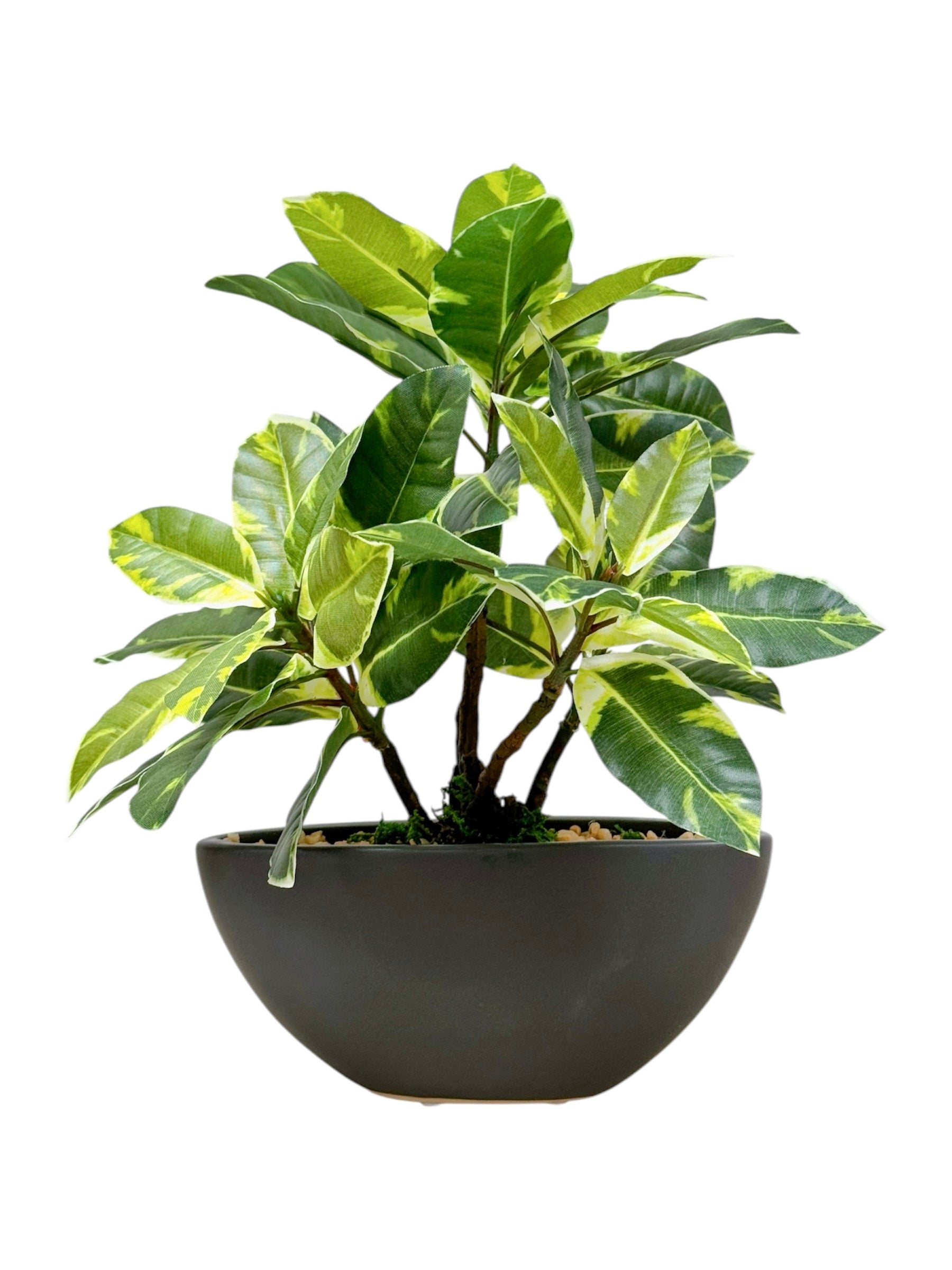 30cm 仿真橡葉盆栽 Ficus Elastica Potted Plant