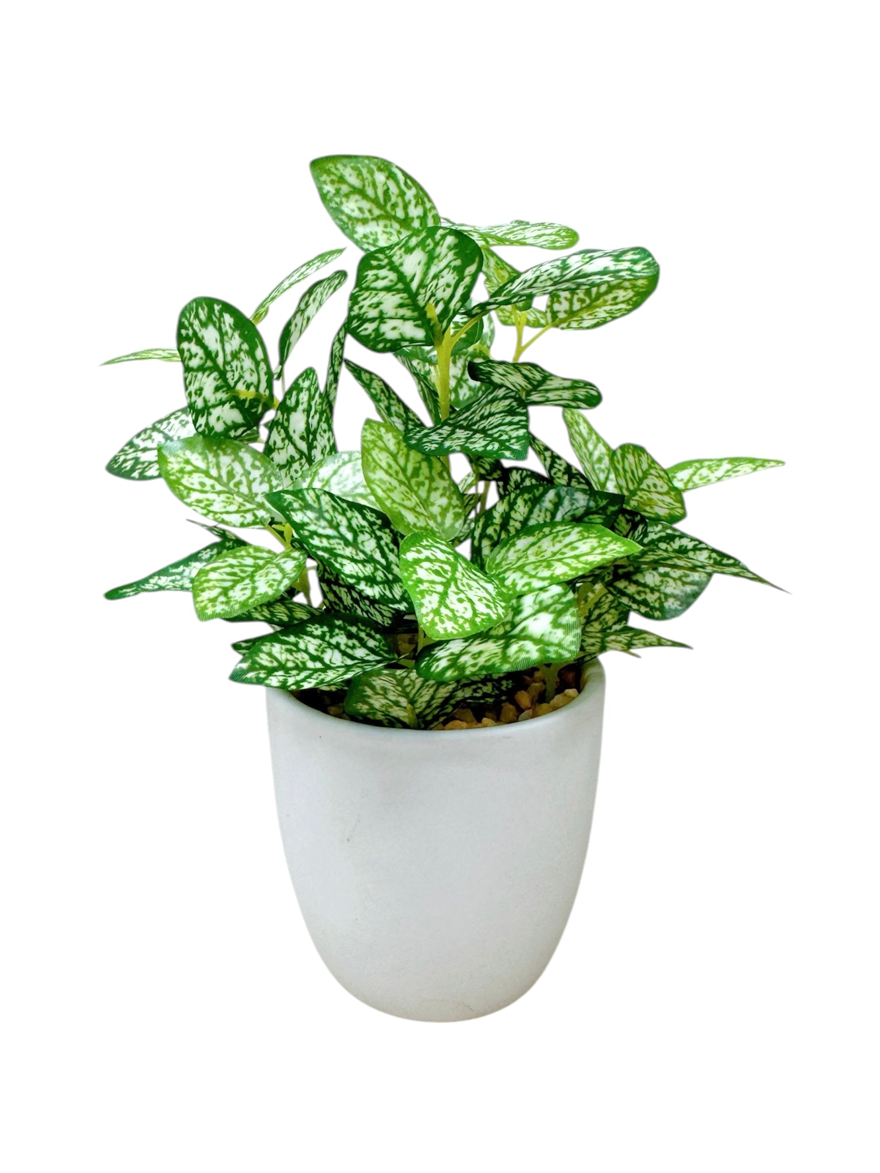 20cm 仿真迷你葉盆栽三件組 Mini Assorted Leaf (Set of 3)