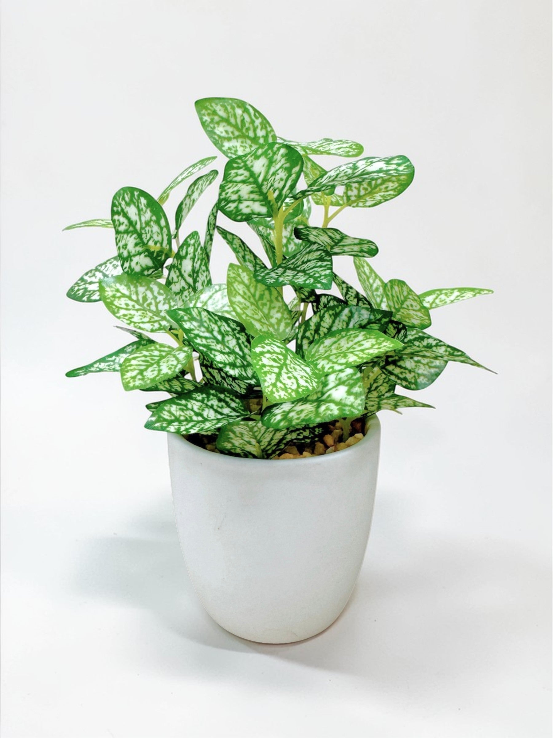 【香港現貨】北歐風仿真迷你盆栽 3件套 | 20cm Mini Artificial Potted Plants (Set of 3) - Midoria