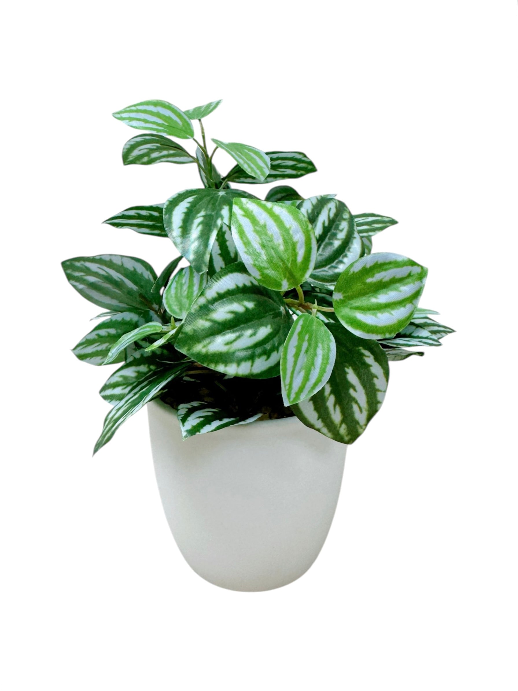 20cm 仿真迷你葉盆栽三件組 Mini Assorted Leaf (Set of 3)