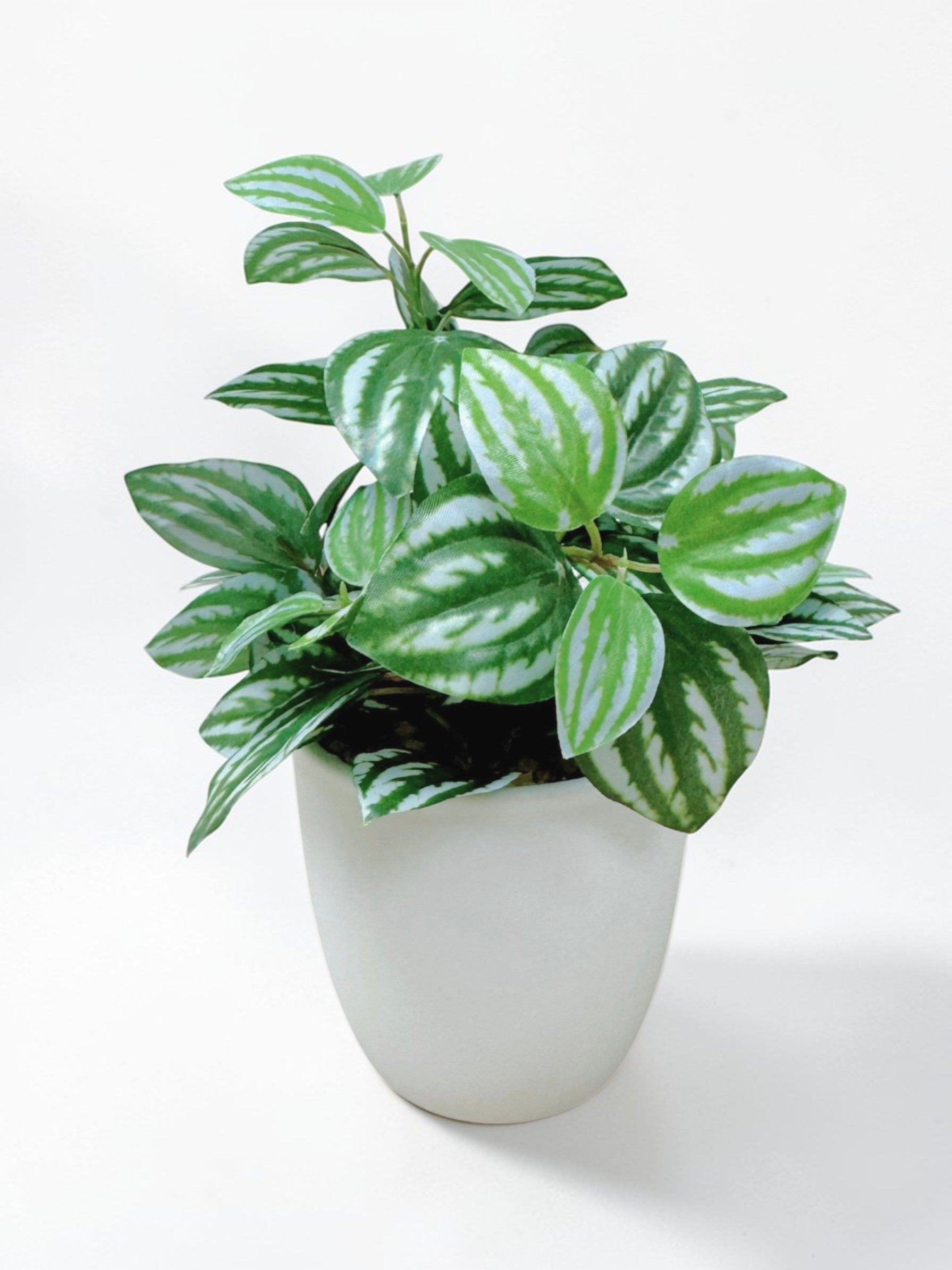 【香港現貨】北歐風仿真迷你盆栽 3件套 | 20cm Mini Artificial Potted Plants (Set of 3) - Midoria
