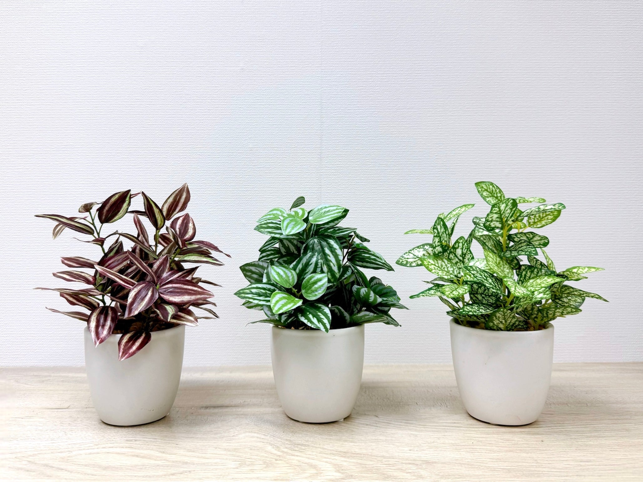 20cm 仿真迷你葉盆栽三件組 Mini Assorted Leaf (Set of 3)
