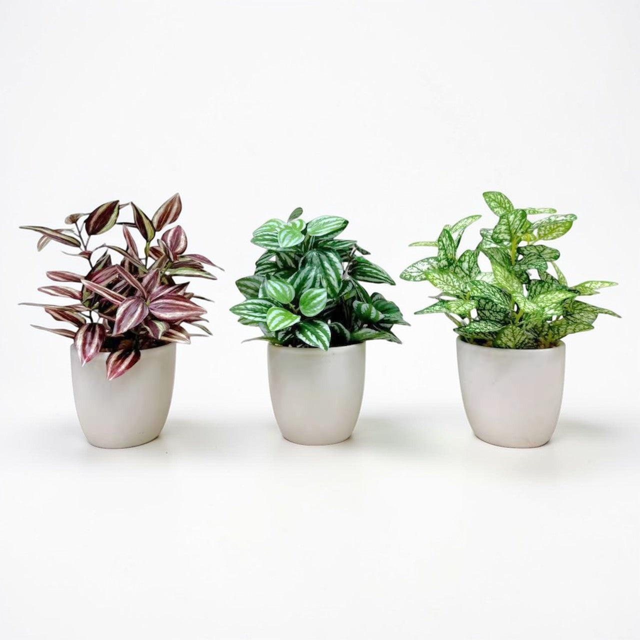 【香港現貨】北歐風仿真迷你盆栽 3件套 | 20cm Mini Artificial Potted Plants (Set of 3) - Midoria