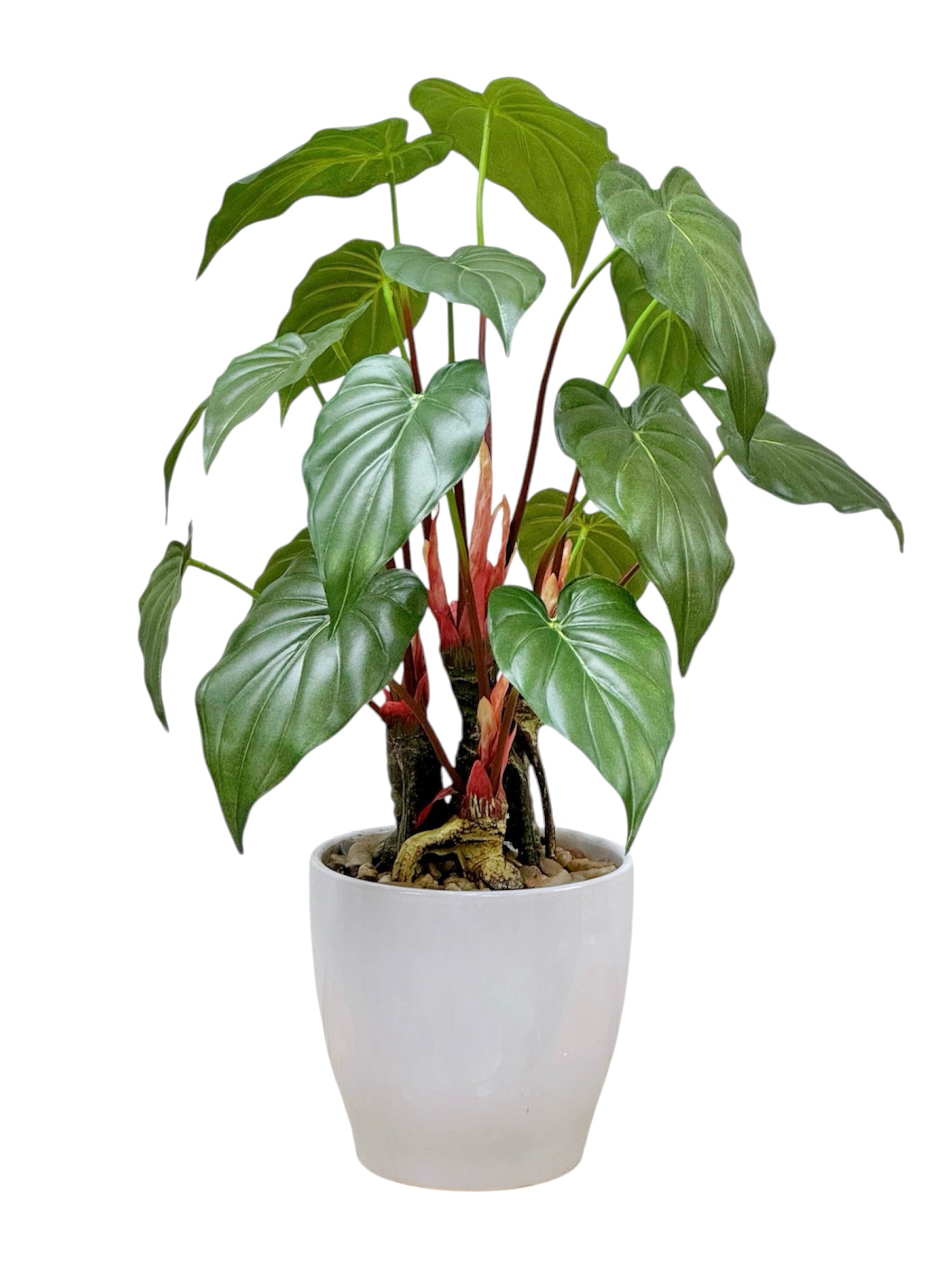 56cm 仿真海芋盆栽 Alocasia Potted Plant