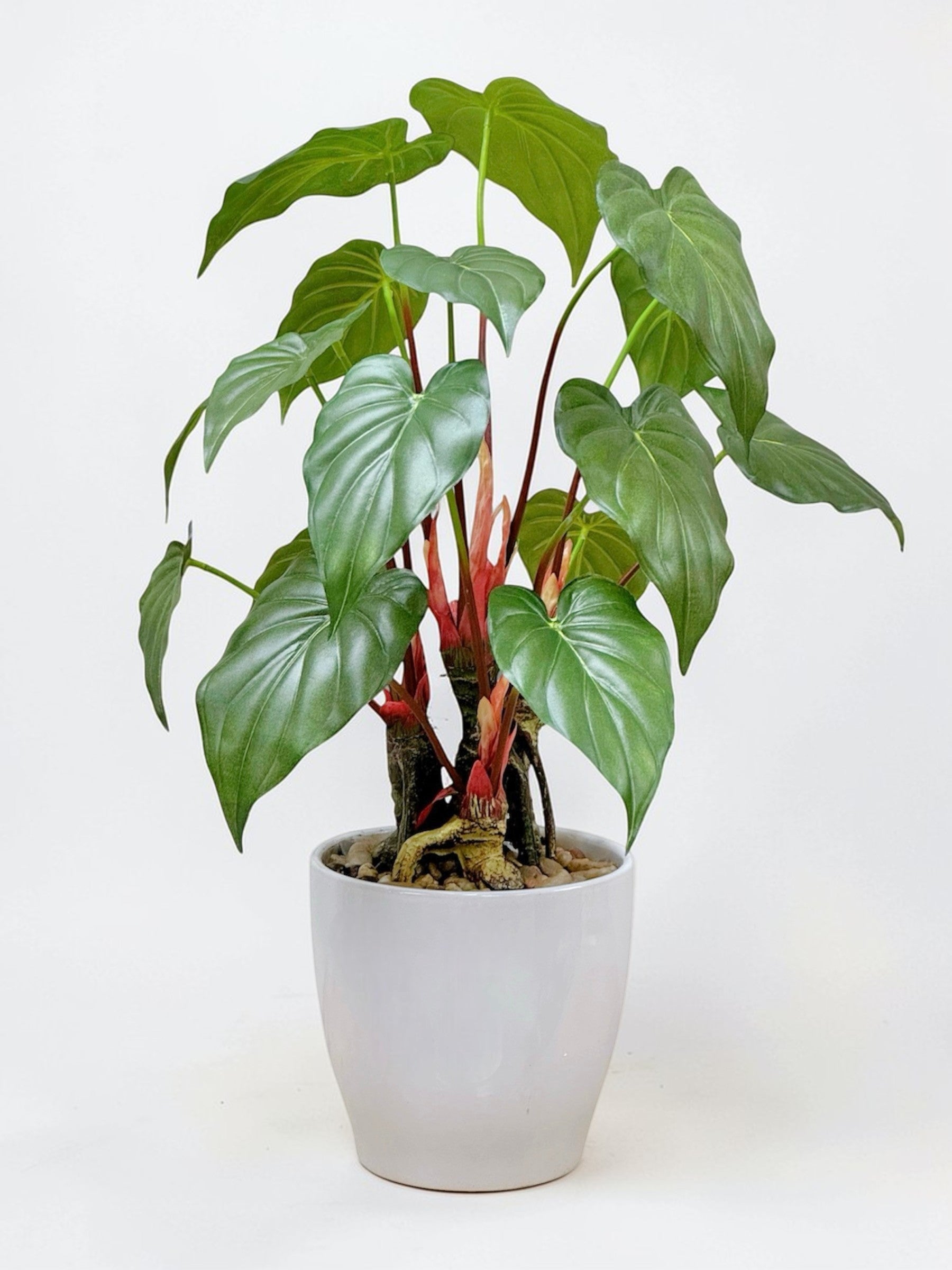 【香港現貨】仿真海芋陶瓷盆栽 (56cm) | 熱帶雨林風 高仿真 PU 材質 Alocasia - Midoria