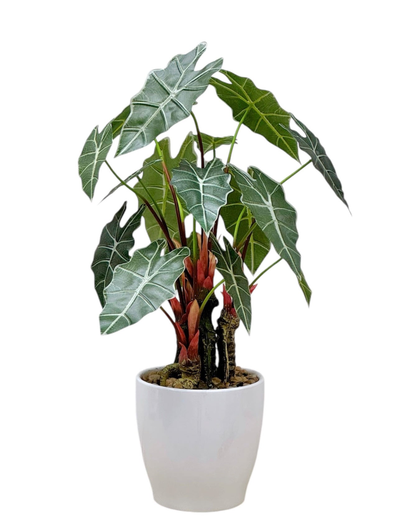 56cm 仿真海芋盆栽 Alocasia Potted Plant