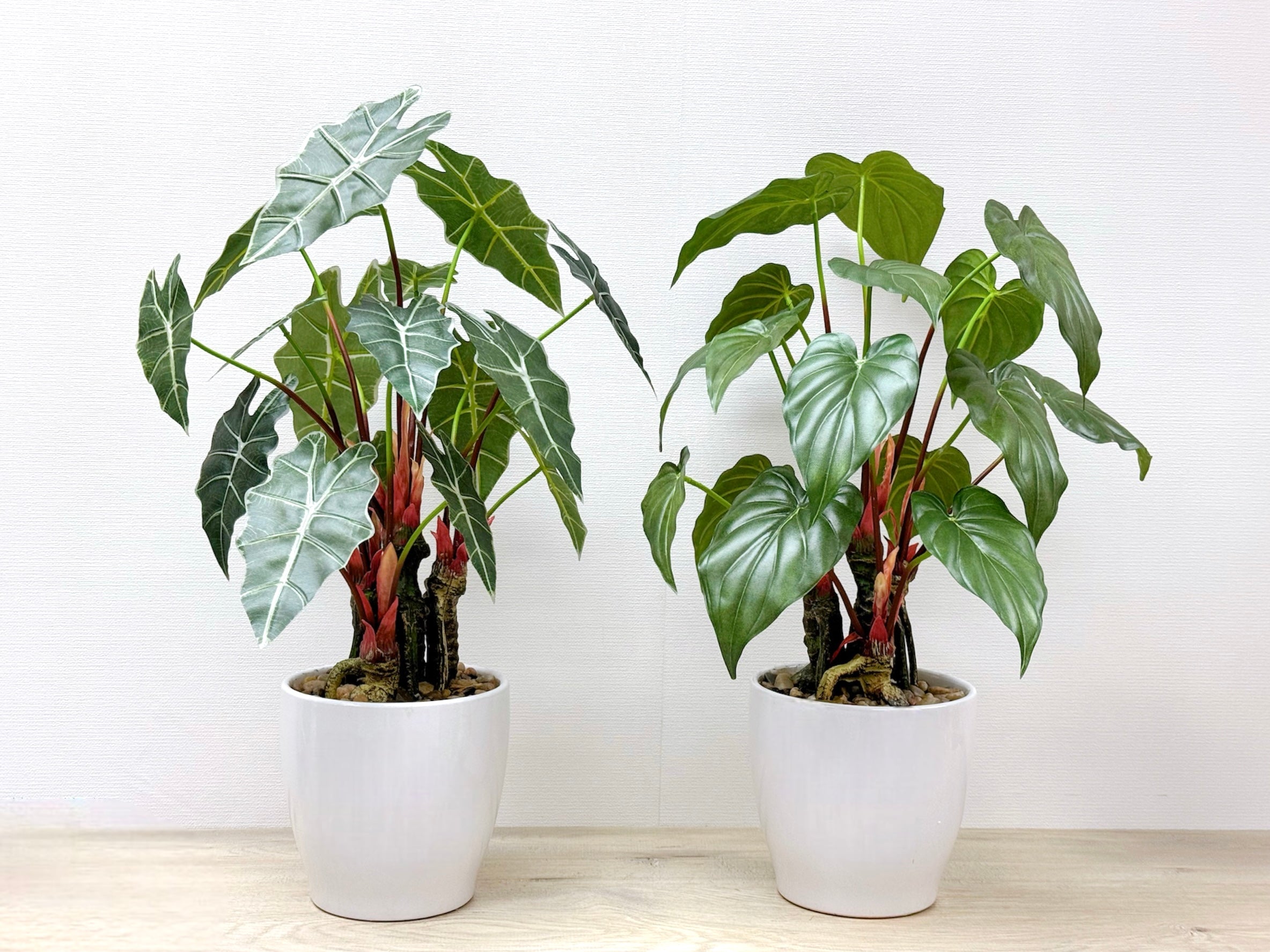 56cm 仿真海芋盆栽 Alocasia Potted Plant