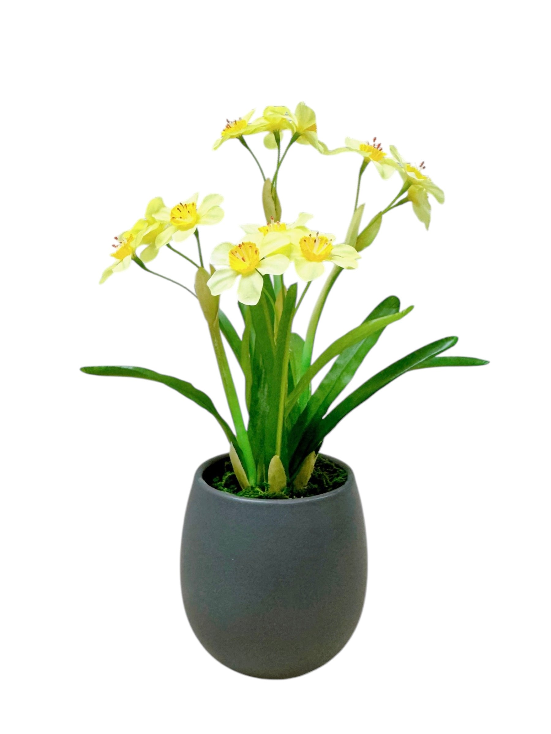 31cm 仿真水仙花盆栽 Narcissus Potted Plant