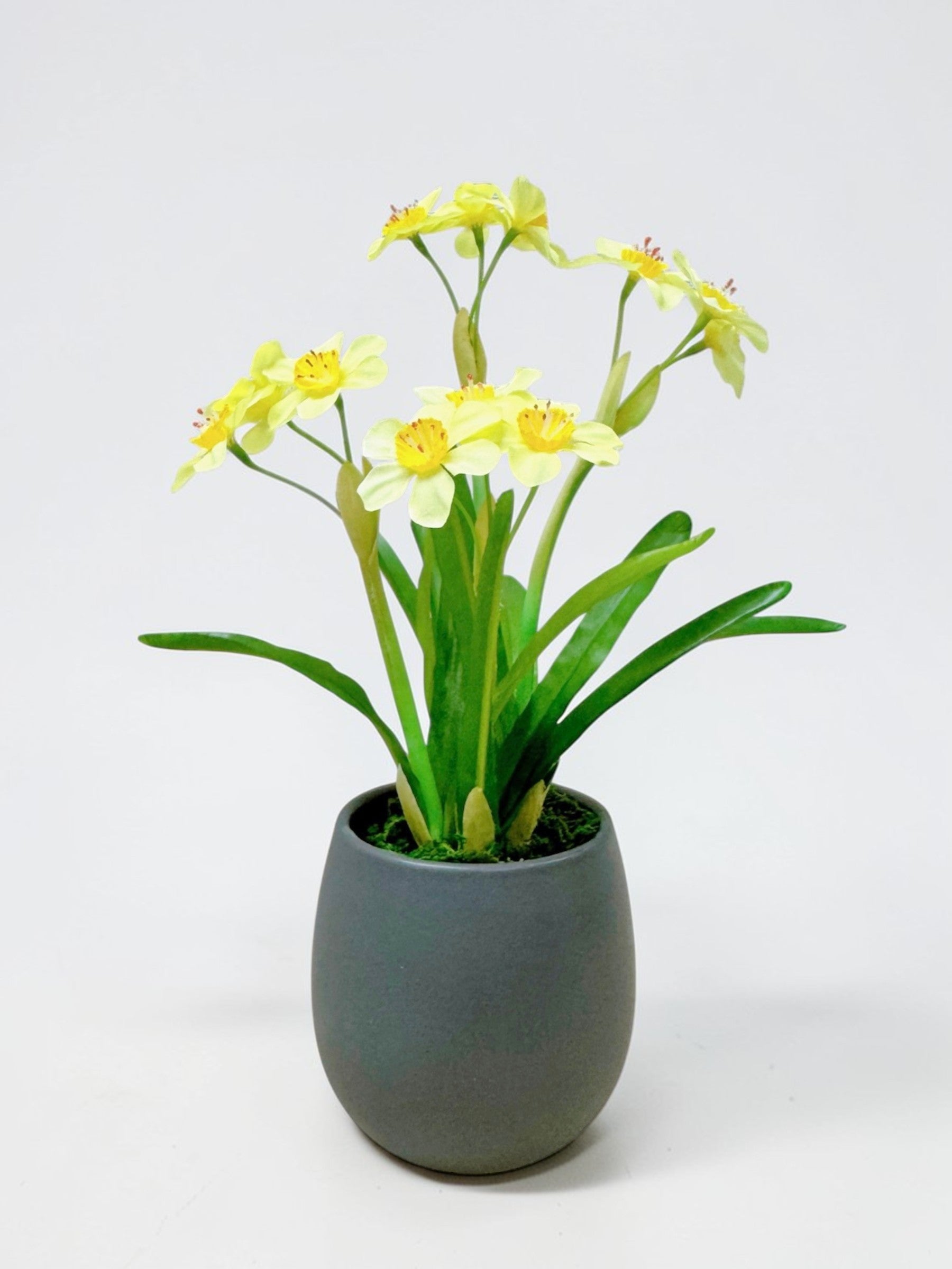 【香港現貨】仿真水仙花陶瓷盆栽 (31cm) | 典雅東方美學 Narcissus Potted Plant - Midoria