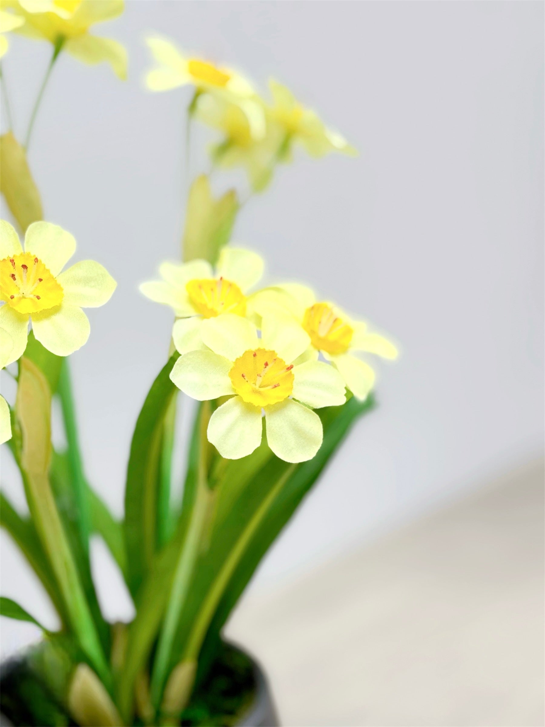 31cm 仿真水仙花盆栽 Narcissus Potted Plant