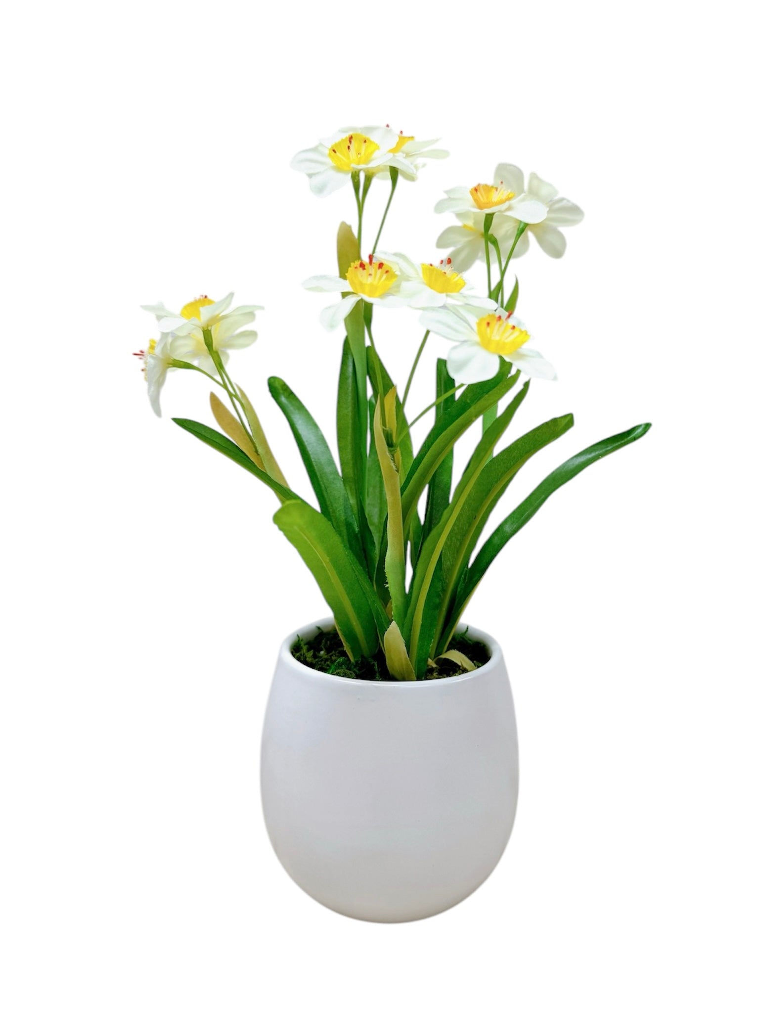 31cm 仿真水仙花盆栽 Narcissus Potted Plant
