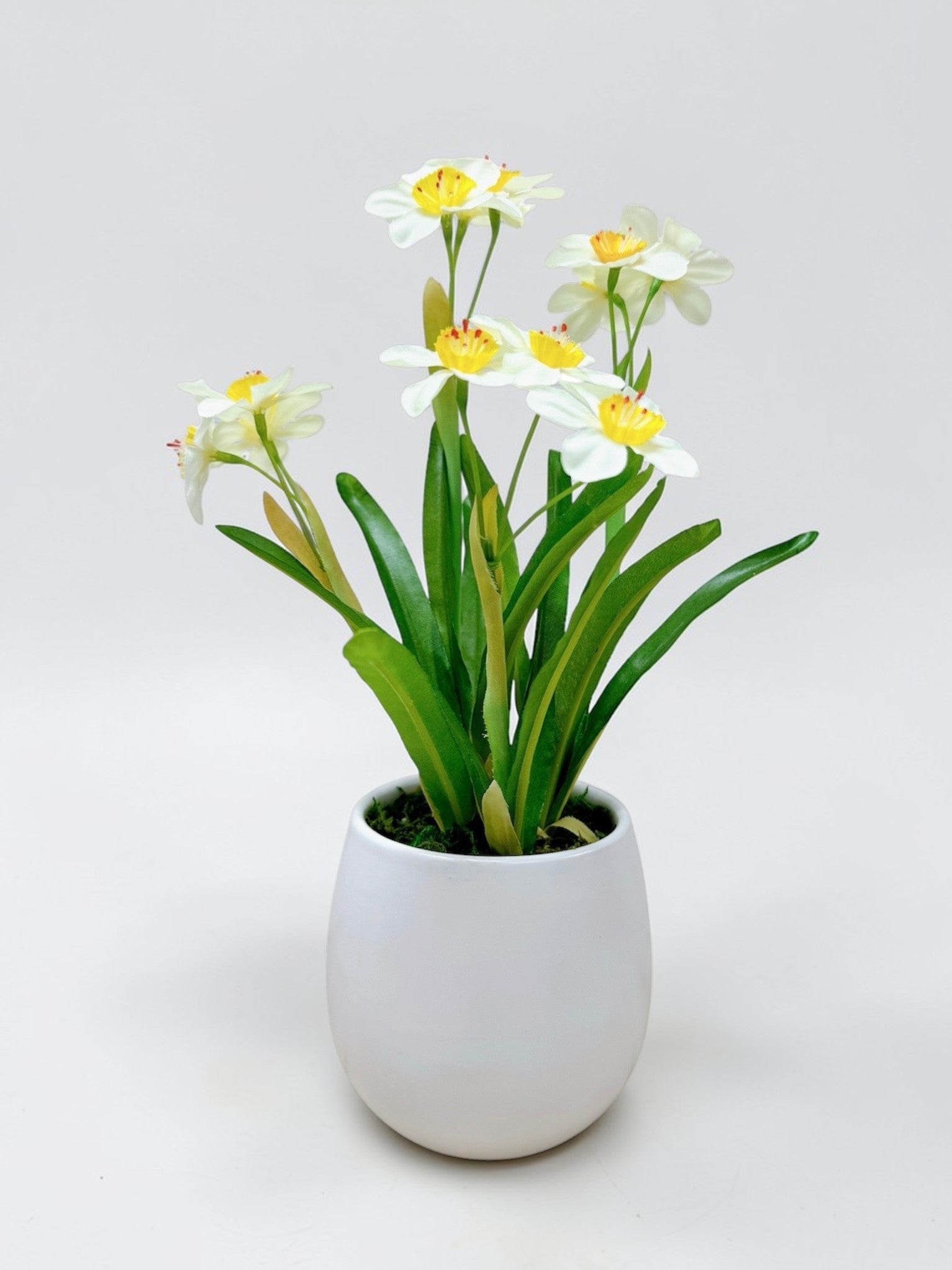 【香港現貨】仿真水仙花陶瓷盆栽 (31cm) | 典雅東方美學 Narcissus Potted Plant - Midoria