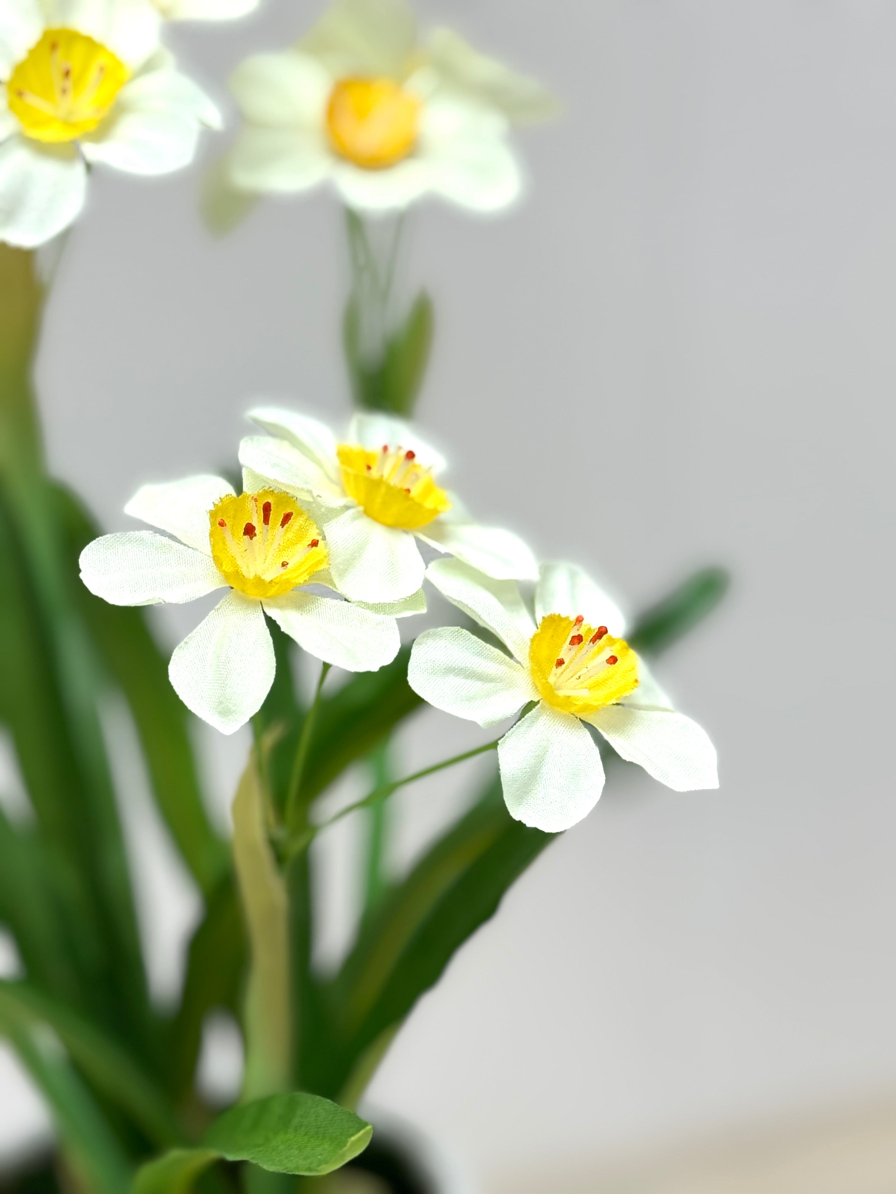 31cm 仿真水仙花盆栽 Narcissus Potted Plant