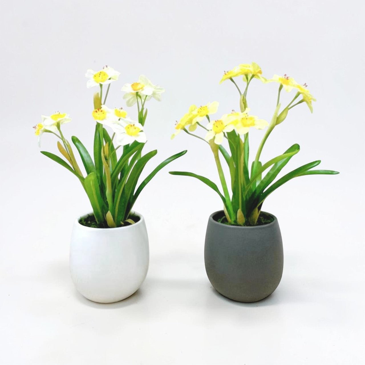【香港現貨】仿真水仙花陶瓷盆栽 (31cm) | 典雅東方美學 Narcissus Potted Plant - Midoria
