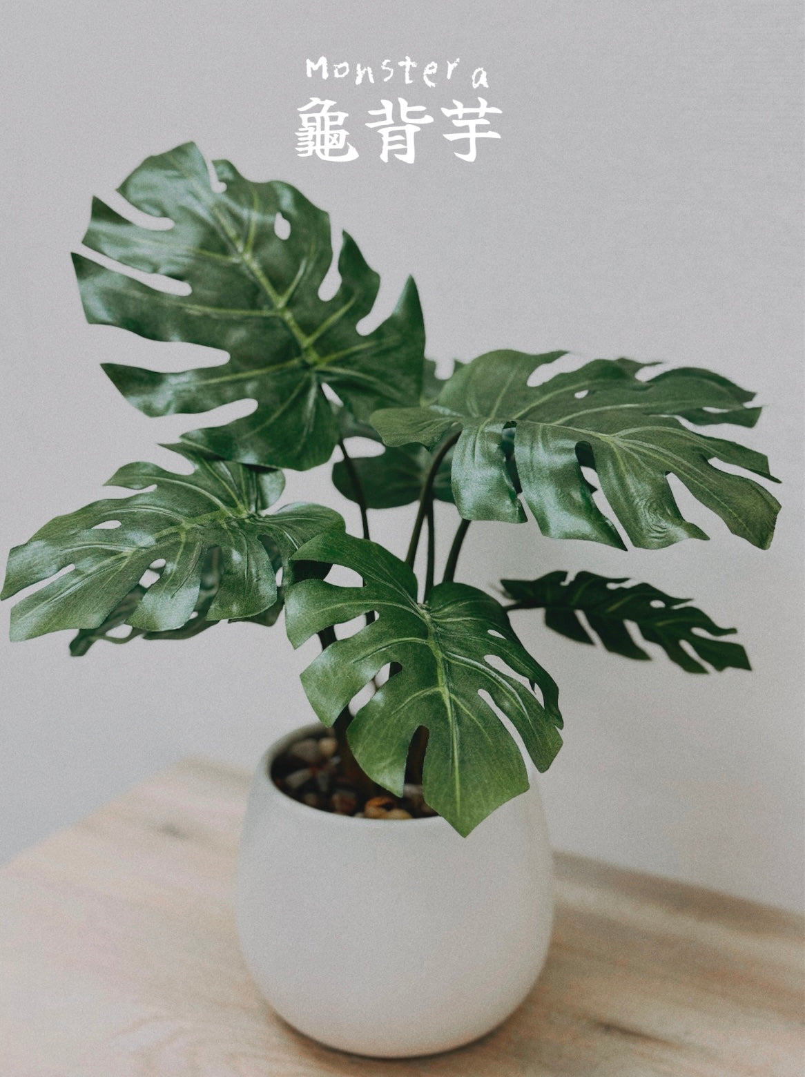 37cm 仿真龜背芋盆栽 Monstera Potted Plant