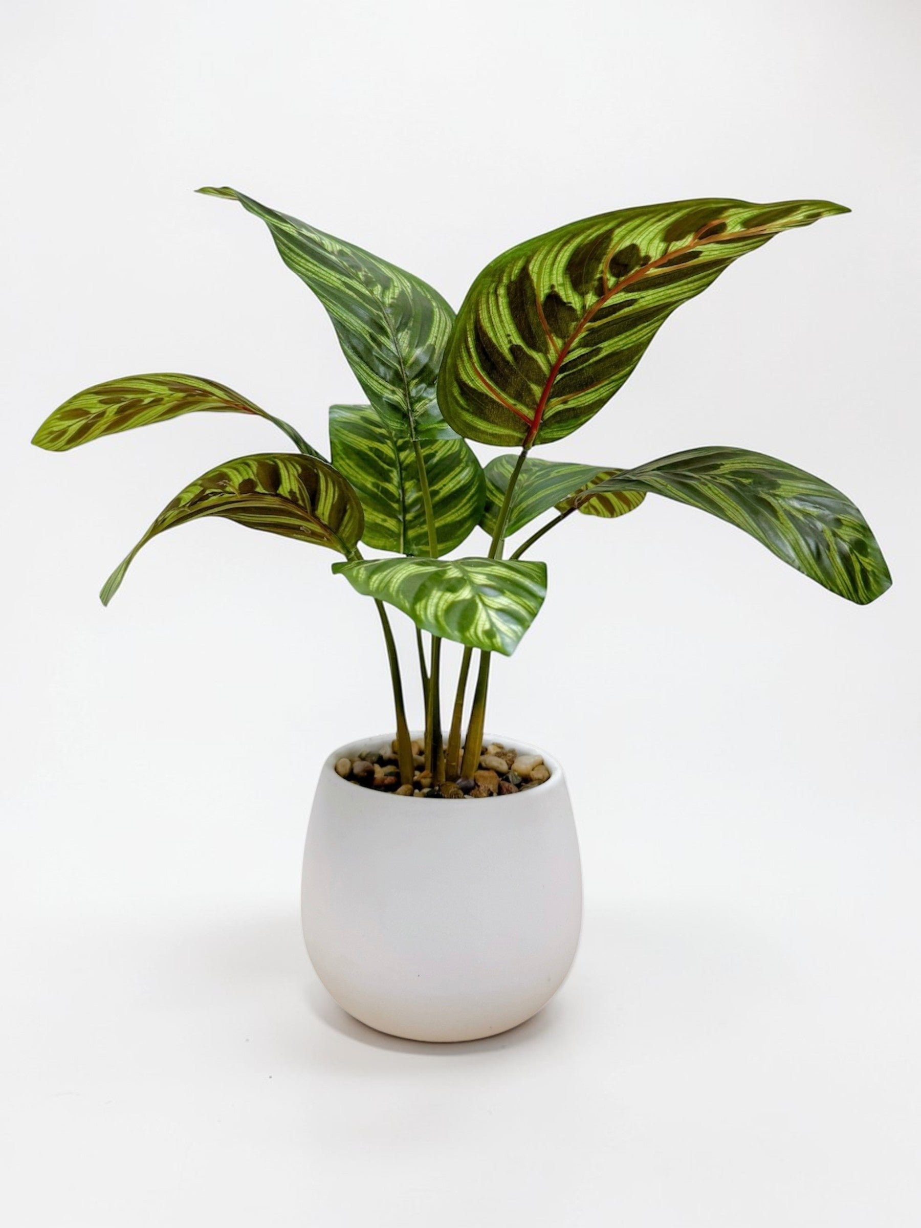 【香港現貨】仿真龜背芋陶瓷盆栽 (37cm) | 北歐風人造植物 鵝蛋型盆 Monstera - Midoria