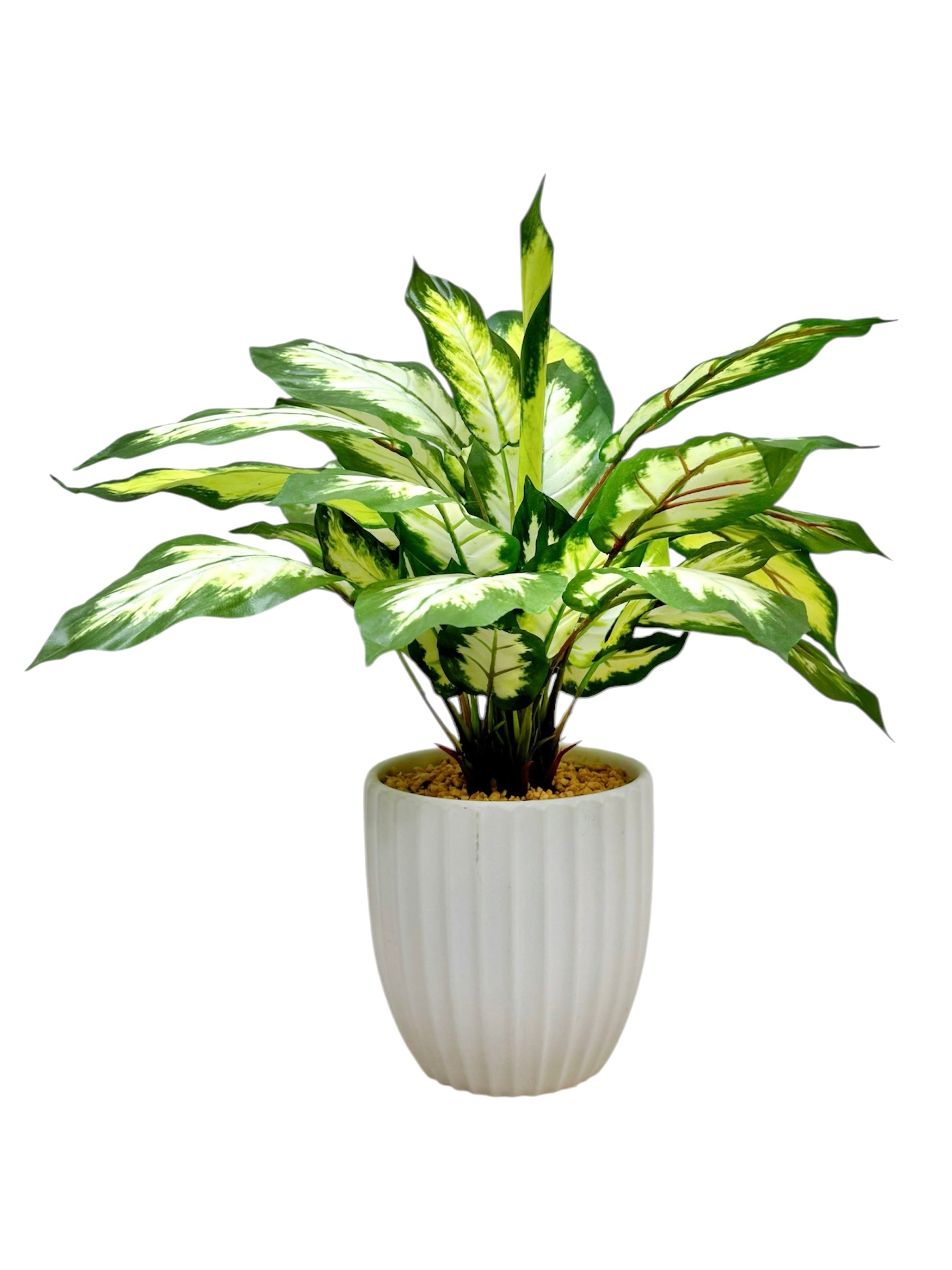 43cm 仿真花葉萬年青盆栽 Dieffenbachia Potted Plant