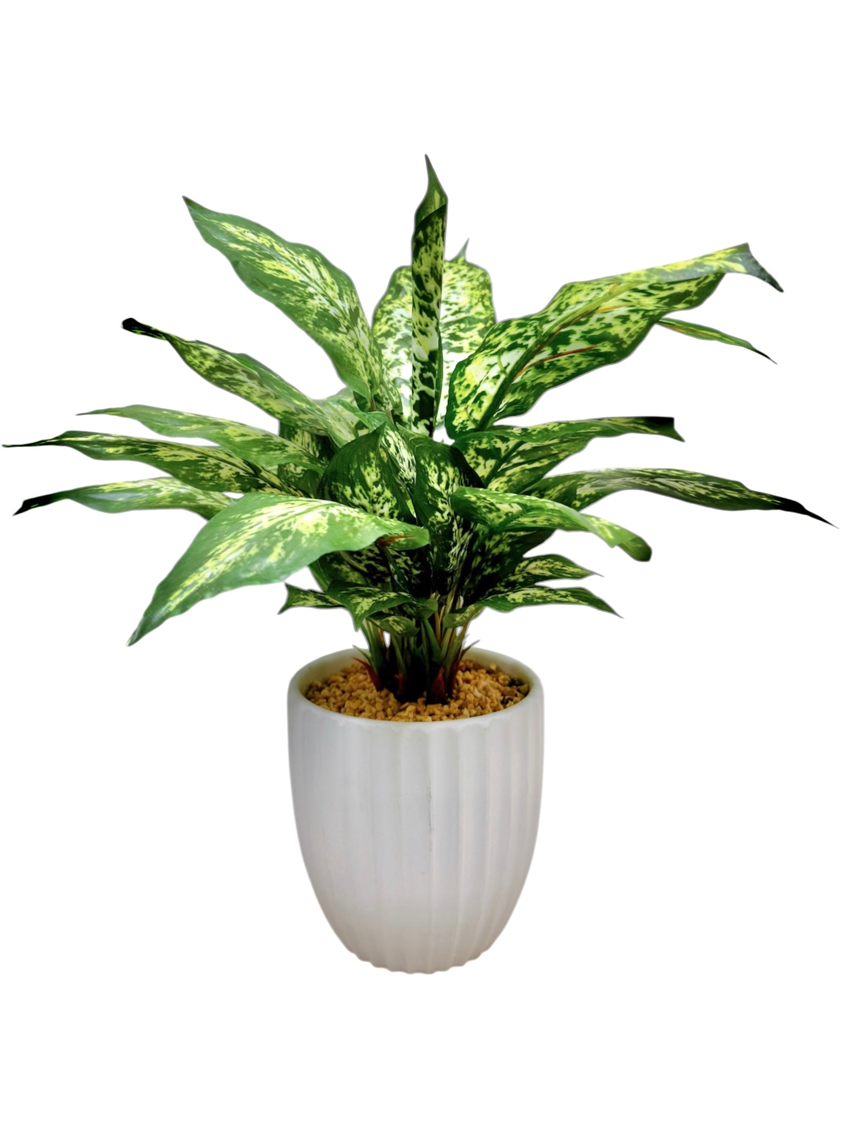 43cm 仿真花葉萬年青盆栽 Dieffenbachia Potted Plant