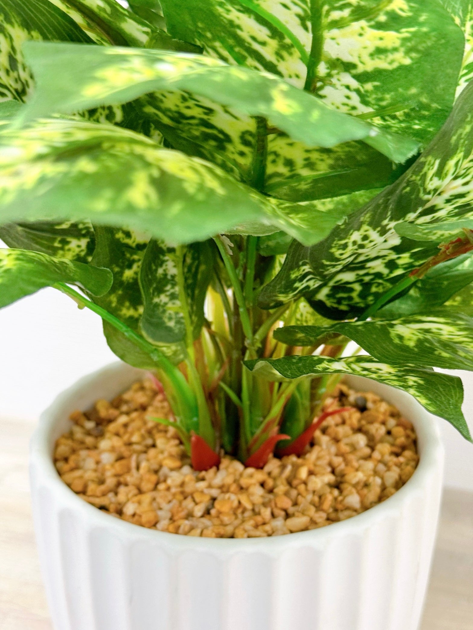43cm 仿真花葉萬年青盆栽 Dieffenbachia Potted Plant