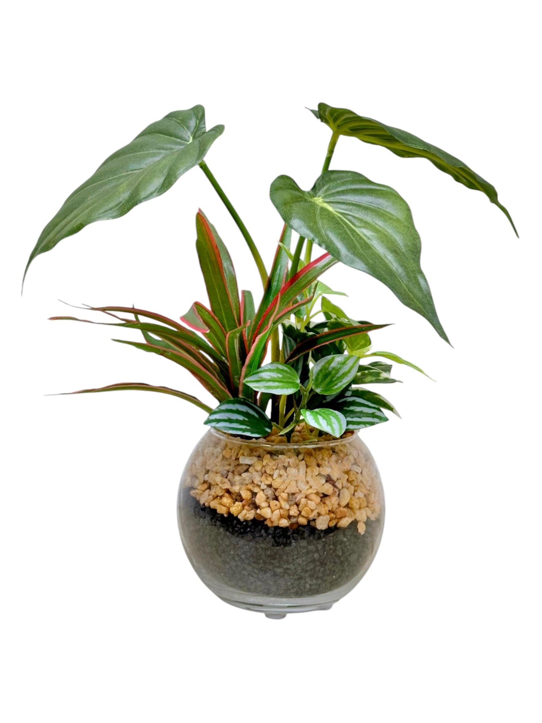 23cm 仿真五彩芋搭配迷你葉盆栽 Caladium & Mini Leaf with Glass Pot