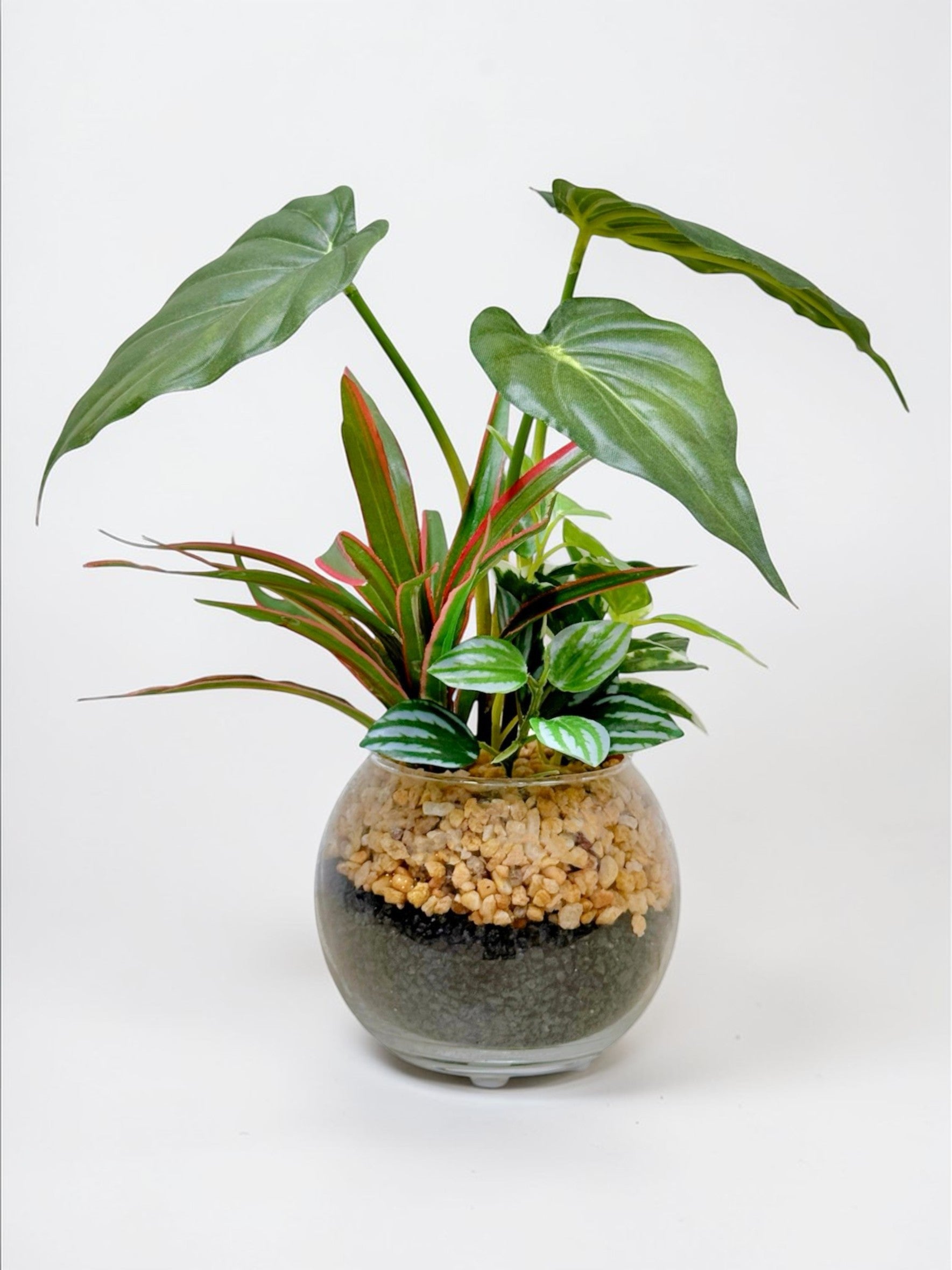 【香港現貨】仿真五彩芋玻璃盆栽 (23cm) | 北歐風人造植物 辦公室桌面裝飾 Caladium & Mini Leaf - Midoria