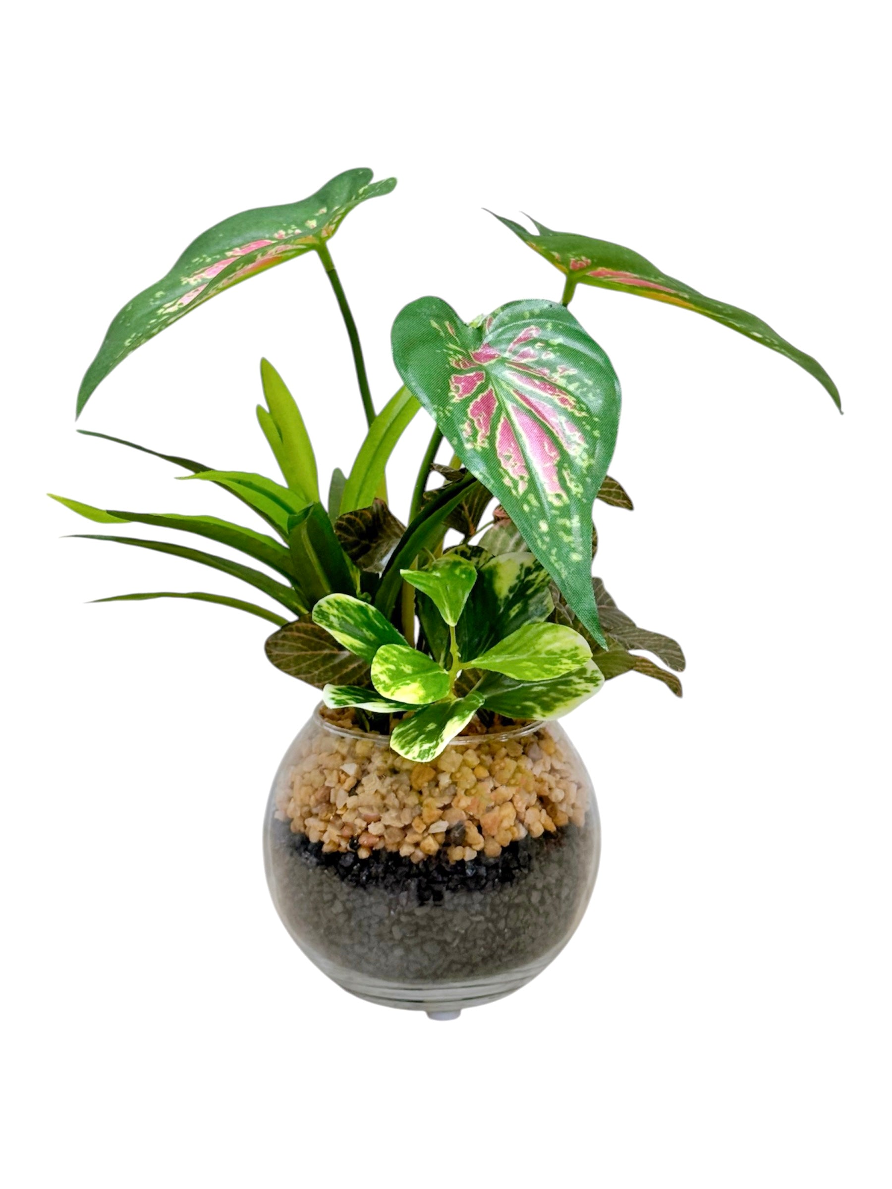 23cm 仿真五彩芋搭配迷你葉盆栽 Caladium & Mini Leaf with Glass Pot