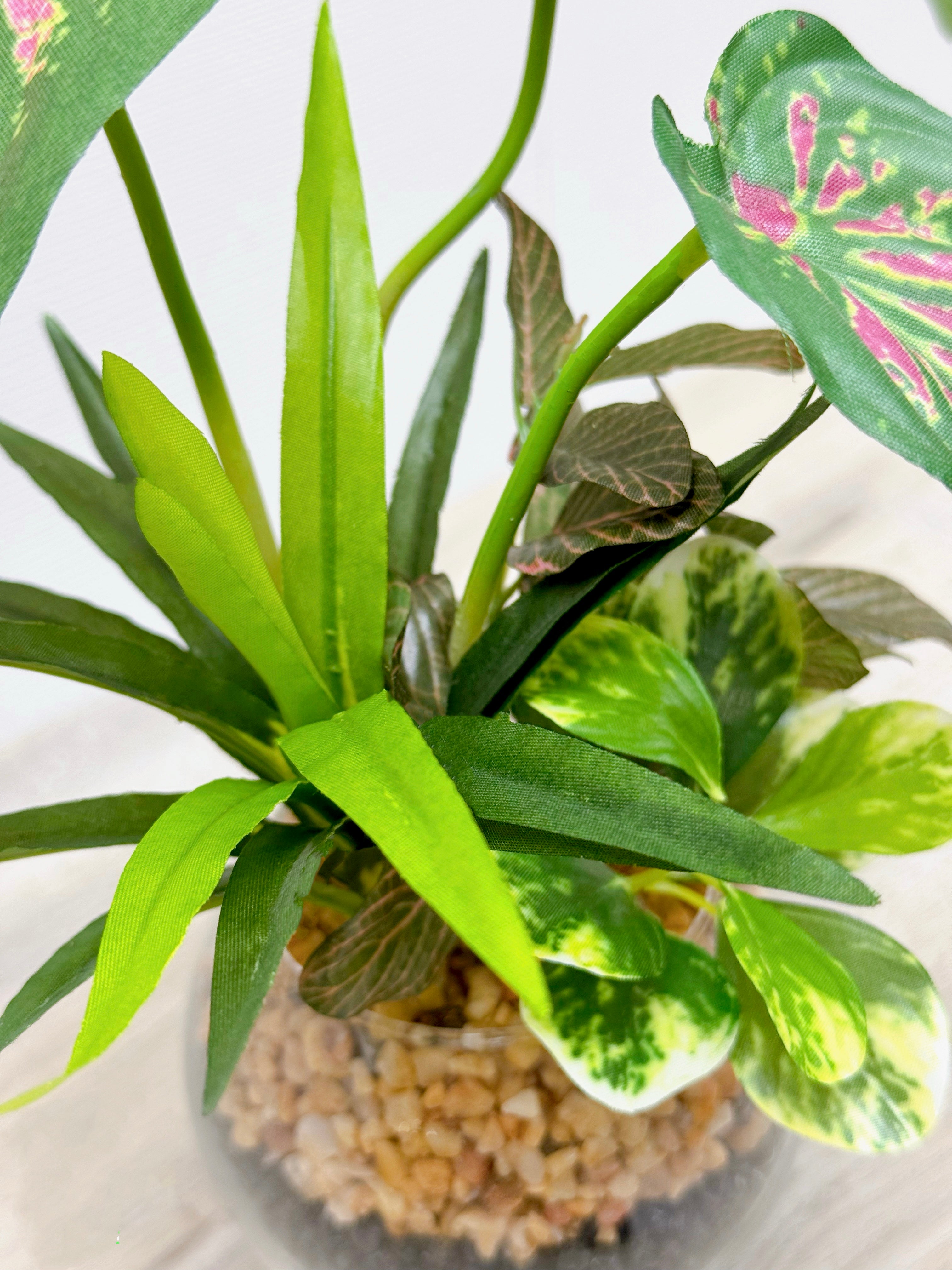 23cm 仿真五彩芋搭配迷你葉盆栽 Caladium & Mini Leaf with Glass Pot