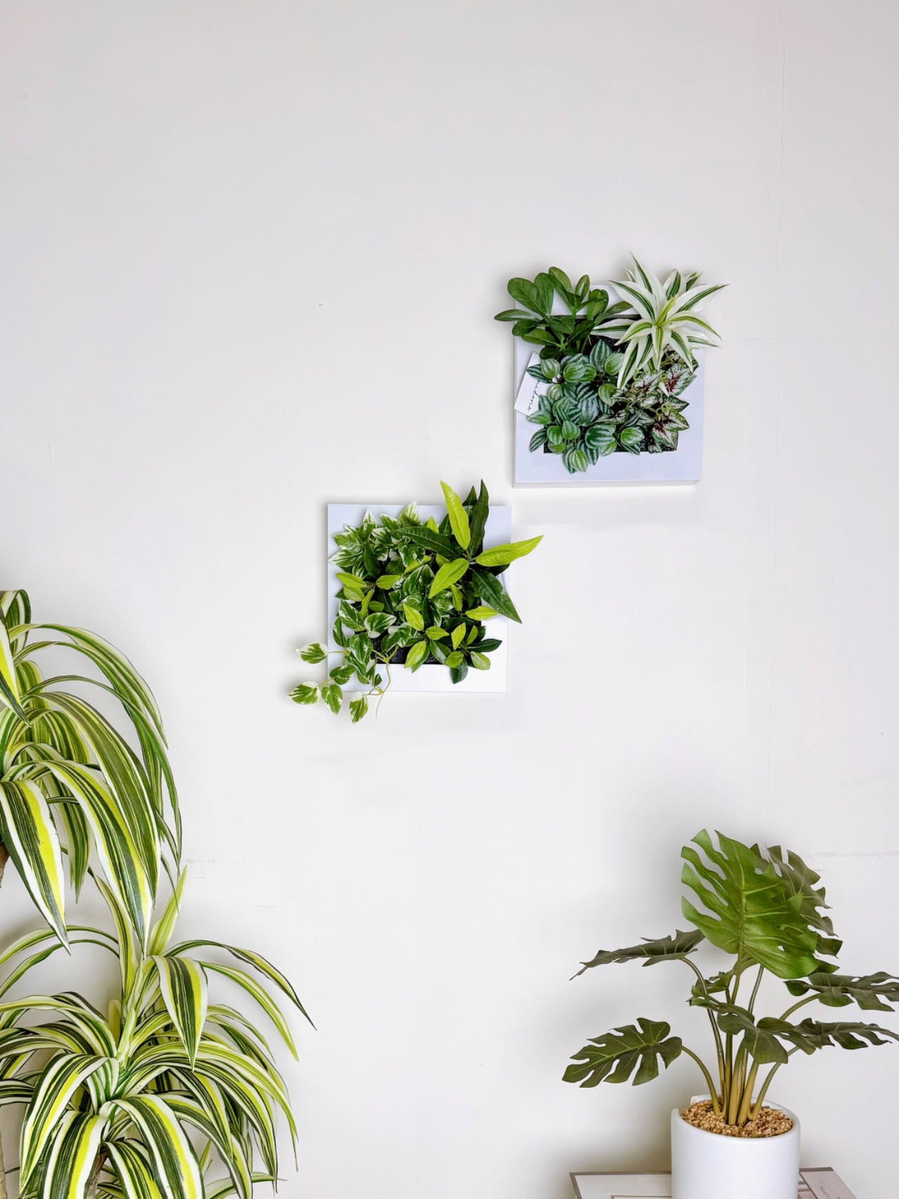 25x25cm 仿真雜葉掛牆畫框2件組 Wall Frame with Assorted Leaf  (Set of 2)