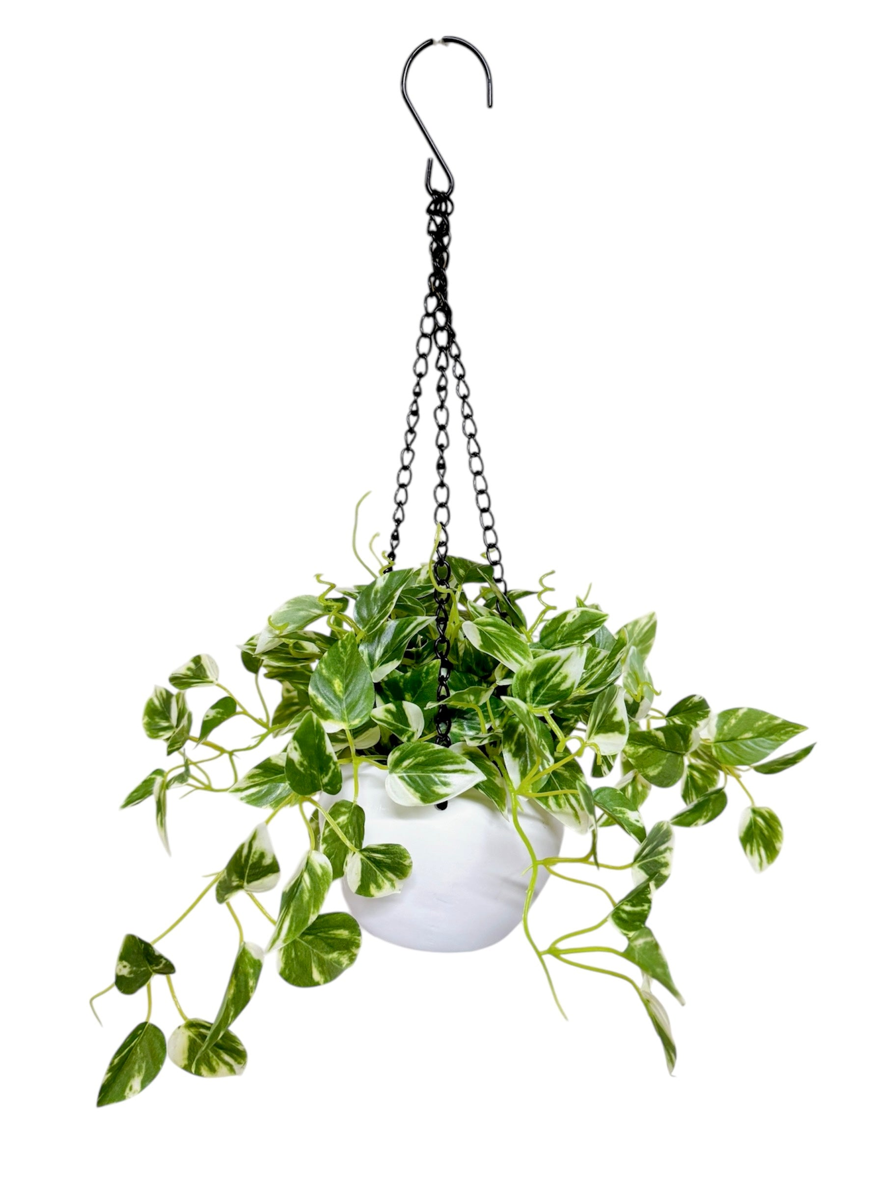 48cm 仿真常春藤吊籃 Hanging English Ivy with Pottery Pot
