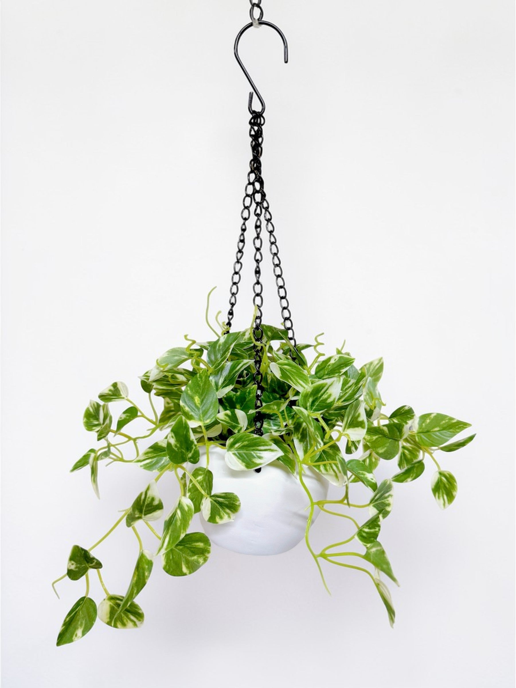 【香港現貨】仿真常春藤吊籃盆栽 (48cm) | 垂吊植物 麻繩陶盆 English Ivy - Midoria