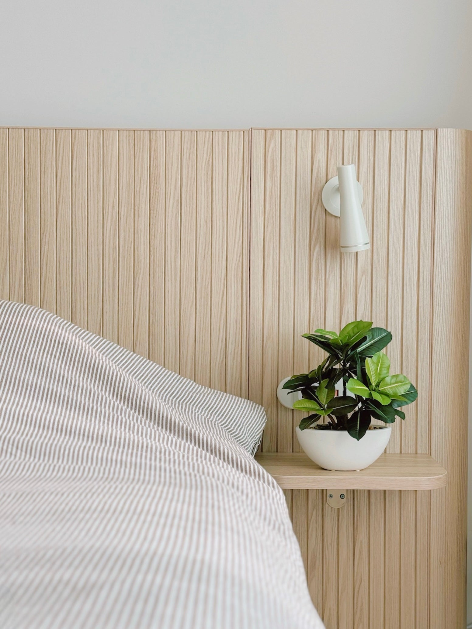 【香港現貨】仿真橡葉陶瓷盆栽 (30cm) | 半月型設計盆 現代居家裝飾 Ficus Elastica - Midoria