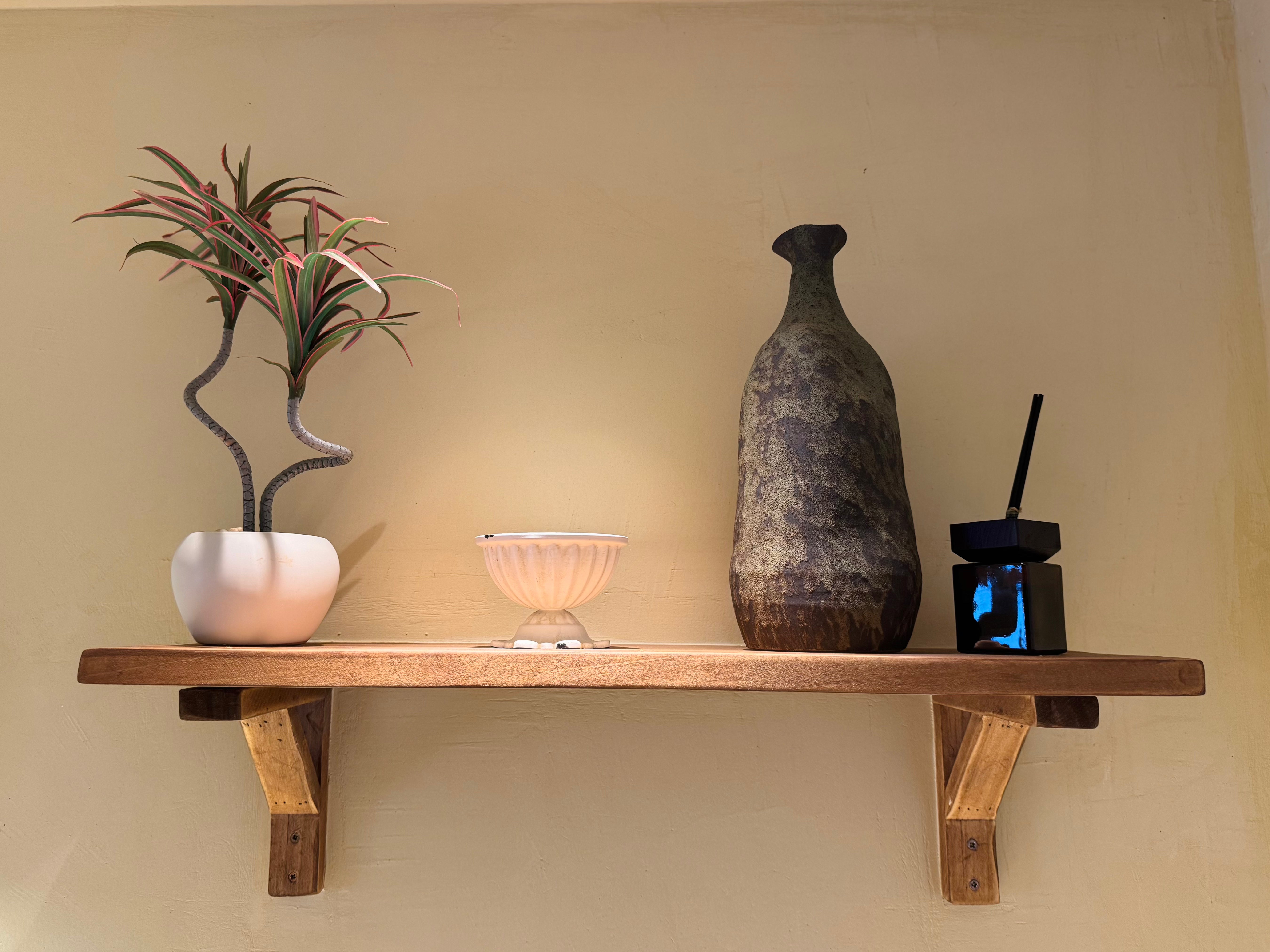 【香港現貨】仿真龍血蘭陶瓷盆栽 (39cm) | 日系極簡禪意 扭曲枝幹造型 Dracaena - Midoria