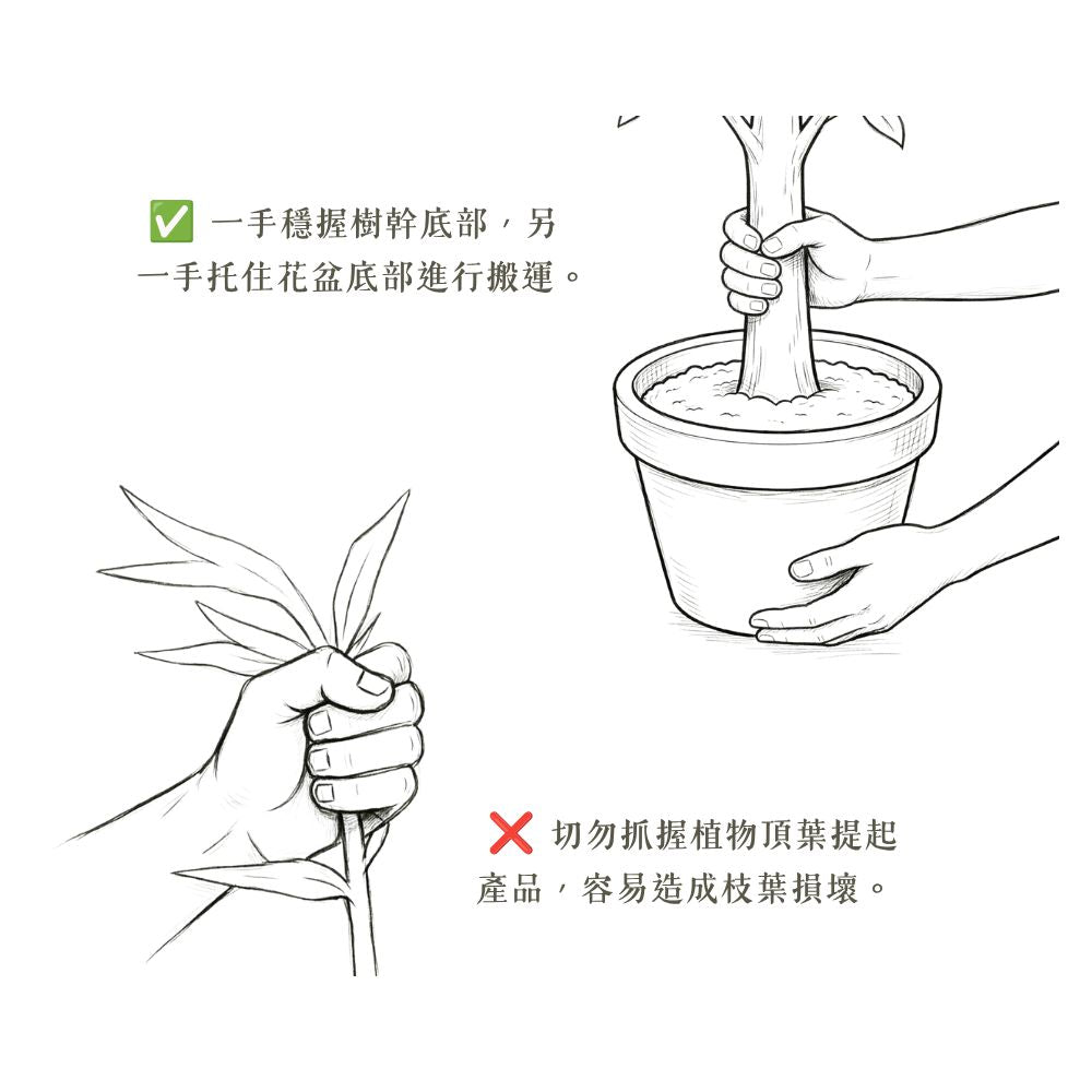 104cm 仿真橄欖樹綠植盆栽 (水泥紋膠盆)｜地中海北歐風室內植物 Olive Tree